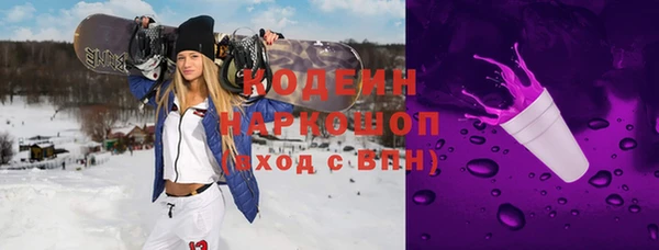 индика Переславль-Залесский