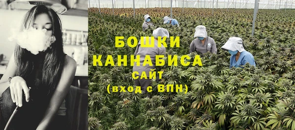 эйфоретик Богородицк
