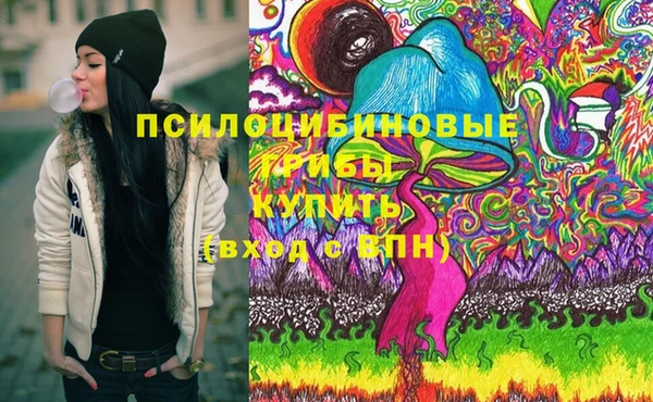 крисы Пестово