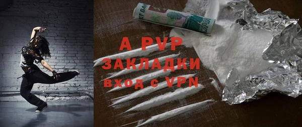 индика Переславль-Залесский